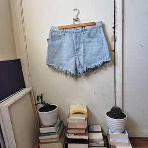 Cut Off High~Rise Jean Shorts
